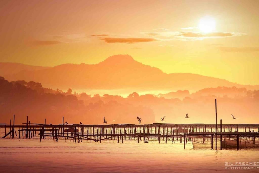 La Digue, 2 Chambres, Vue Mer Et Piscine La Seyne-sur-Mer Bagian luar foto