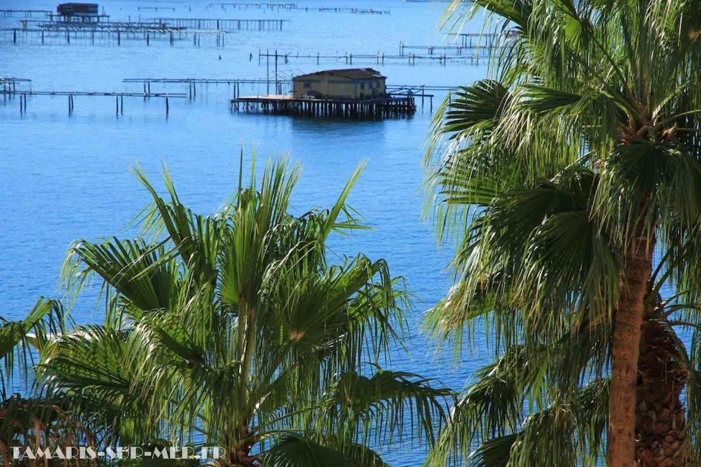 La Digue, 2 Chambres, Vue Mer Et Piscine La Seyne-sur-Mer Bagian luar foto